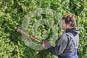 Male gardener in uniform using electric hedge cutter for work outdoors. Caucasian man shaping overgrown thuja during summer time