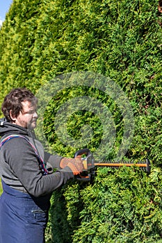 Male gardener in uniform using electric hedge cutter for work outdoors. Caucasian man shaping overgrown thuja during summer time