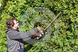 Male gardener in uniform using electric hedge cutter for work outdoors. Caucasian man shaping overgrown thuja during summer time