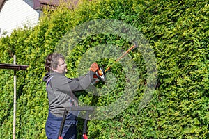 Male gardener in uniform using electric hedge cutter for work outdoors. Caucasian man shaping overgrown thuja during summer time.