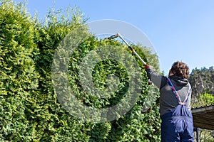Male gardener using a long reach pole hedge trimmer to cut the top of a tall hedge