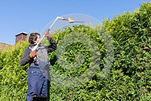 Male gardener using a long reach pole hedge trimmer to cut the top of a tall hedge. Professional gardener with a professional