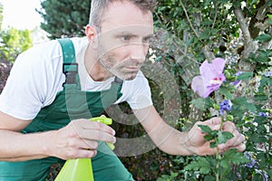 male gardener working outdoors