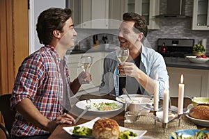 Male gay couple making a toast at dinner in their kitchen