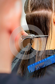 The male hairdresser cuts back female client hair with scissors and comb in a beauty salon.