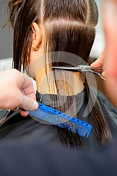 The male hairdresser cuts back female client& x27;s hair with scissors and comb in a beauty salon.
