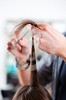 Male hairdresser cutting woman hair in hairdresser shop