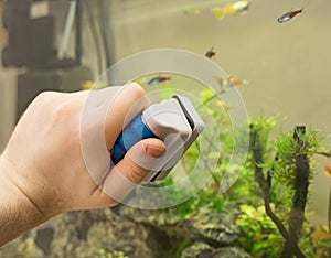 Male hand cleaning aquarium