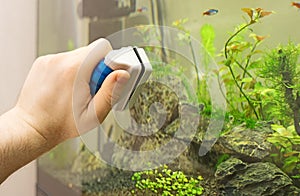 Male hand cleaning aquarium