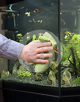 Male hand cleaning aquarium glass