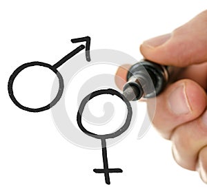 Male hand drawing gender symbols on a virtual whiteboard