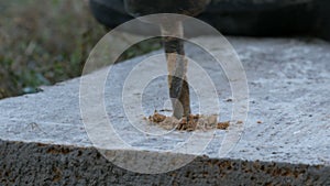 Male hand drilling wood with manual drilling machine outdoors in the autumn close up view