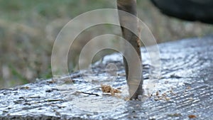 Male hand drilling wood with manual drilling machine outdoors in the autumn close up view