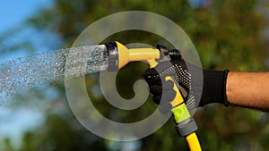 Male hand in glove holding and moving hose and watering plant in garden on sunny day. Man spraying water on plant