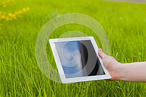 Male hand holding digital tablet on a grass field. Concep photo.