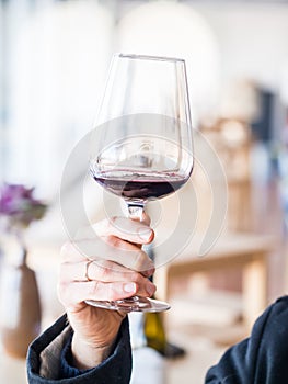 Male hand holding a glass of red wine  at wine tasting in Setugal wine region, Portugal photo