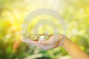 Male hand holding golden coins. Saving, money, finance donation, giving and bussiness concept. on green yellow nature bokeh