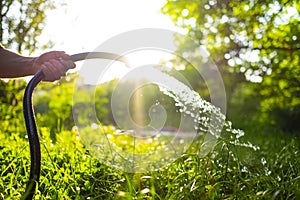 Male hand holding hose with pouring water in a beautiful green garden at sunset