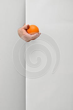 Male hand holding and offering orange fruit behind white wall background