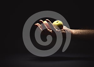 Male Hand Holding Two Apples