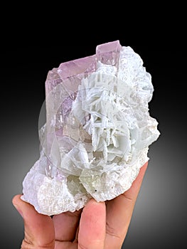 Male hand holding very beautiful lilac purple pink Kunzite var sodumene crystal with albite  