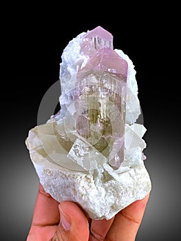 Male hand holding  very beautiful lilac purple pink Kunzite var sodumene crystal with albite cleavlendite crystal 
