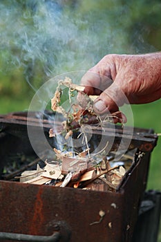 A male hand holds wooden piece under the kindling start a camp fire.