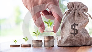 Male hand putting coins with money stack step growing growth and dollar bag.saving money, Concept finance business investment.tree