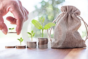 Male hand putting coins with money stack step growing growth saving money, Concept finance business investment.tree growing on coi