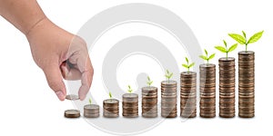 Male hand putting money coin stack growing business isolated on