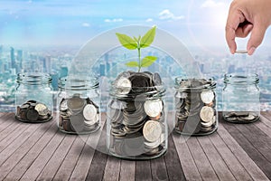 Male hand putting money coins in clear bottle and little tree on