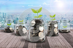 Male hand putting money coins in clear bottle and little tree on