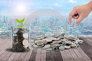 Male hand putting money coins in clear bottle and little tree on