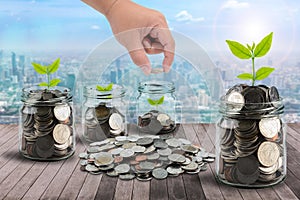 Male hand putting money coins in clear bottle and little tree on