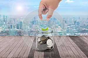 Male hand putting money coins in clear bottle and little tree on