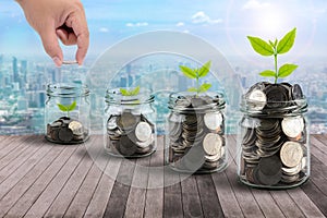 Male hand putting money coins in clear bottle and little tree on