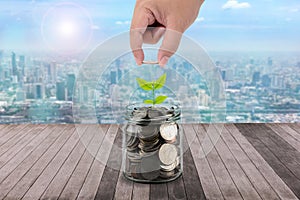 Male hand putting money coins in clear bottle and little tree on