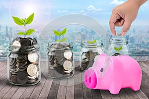 Male hand putting money coins in clear bottle, piggy bank and li