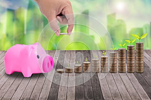 Male hand putting money coins on pile of coins and little tree,