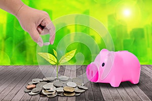 Male hand putting money coins on pile of coins and little tree,