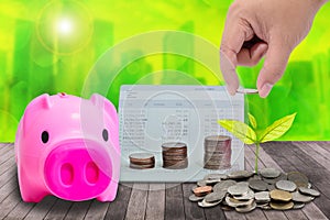 Male hand putting money coins on pile of coins and little tree,