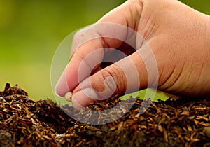 Masculino mano siembra plantando a través de verde ambiente 