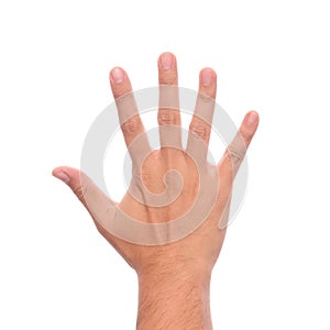 Male hand showing five fingers.
