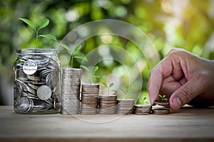 Male hand stack coins and layer to show keep money step and money in a jar with tree on top.