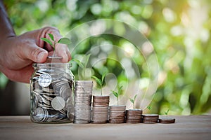 Male hand stack coins and put money in a jar with tree on top and a jar to shown growing concept business,wealthy,education,house