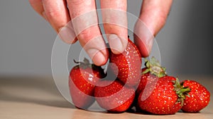 Male hand takes one ripe fresh strawberry from a lot of freshly picked red juicy berry strawberries with green leaves.