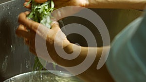 Male hand washing estragon.