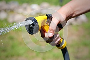 Male hand watering a green plant with water from the hose. Water