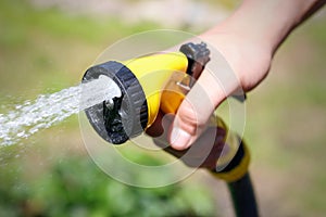 Male hand watering a green plant with water from the hose. Water