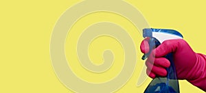 Male hand wearing pink rubber glove on yellow background and holding a blue spray bottle.